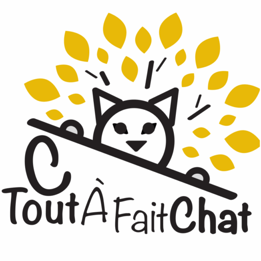 Logo C tout à fait chat