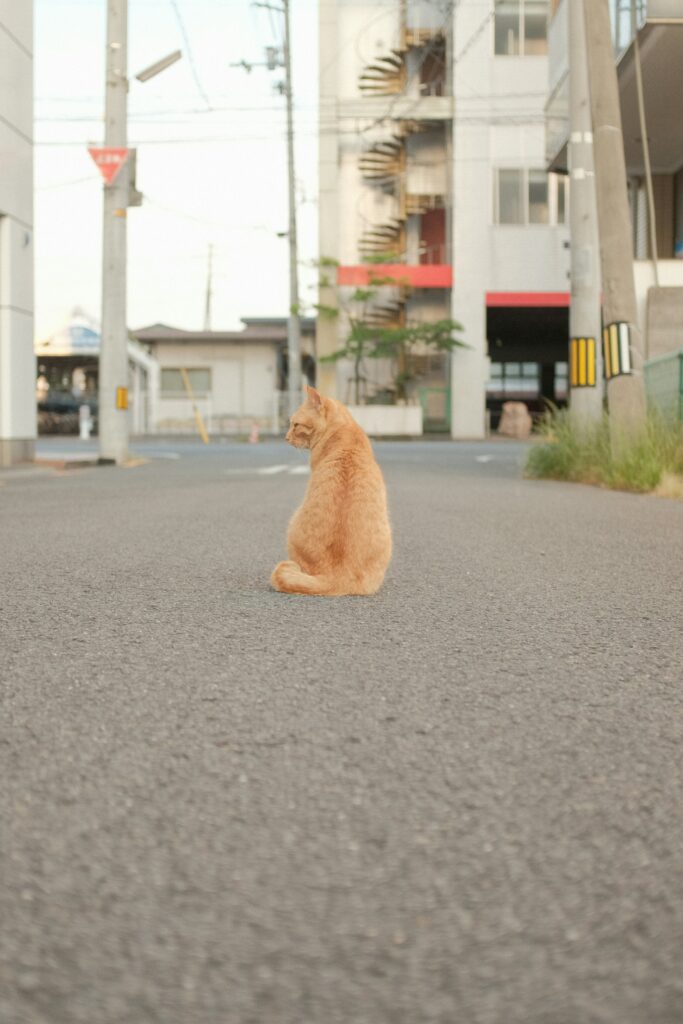 404