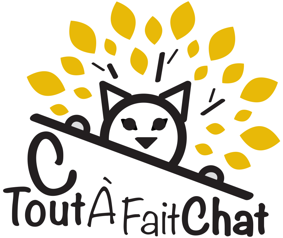 Logo Ctoutafaitchat